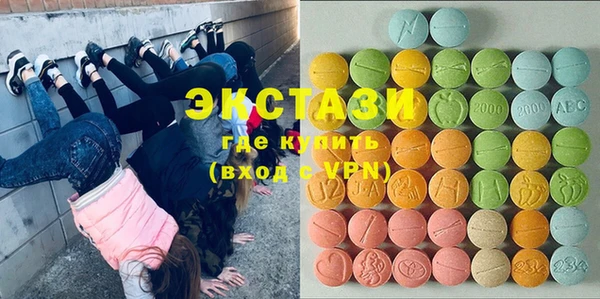 индика Надым