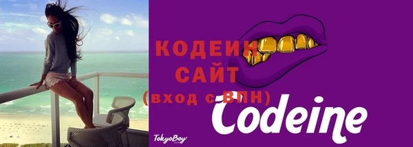 индика Надым