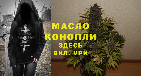индика Надым