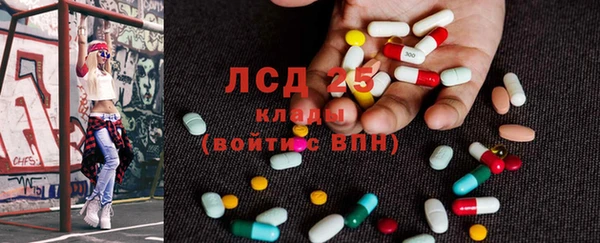 индика Надым
