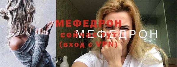 индика Надым