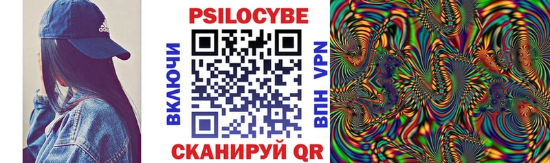Псилоцибиновые грибы Psilocybe  Северская 